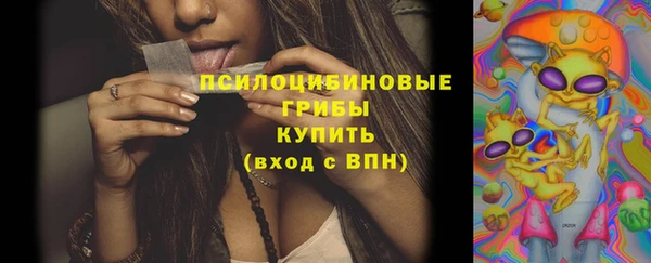 каннабис Каменногорск