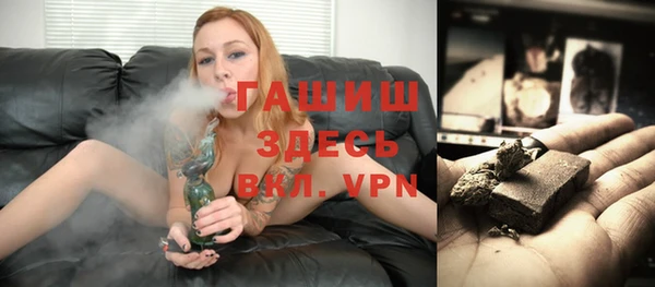 сатива Каменка