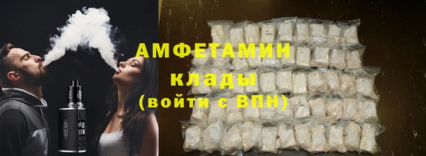 сатива Каменка