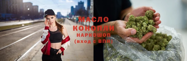 сатива Каменка