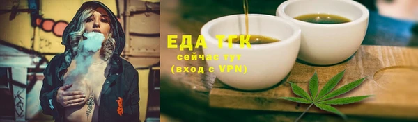 сатива Каменка