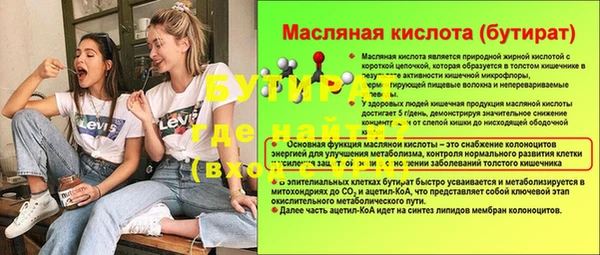 сатива Каменка