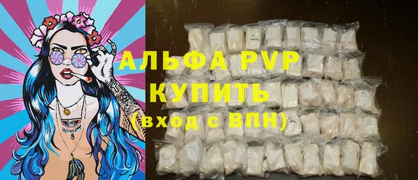 сатива Каменка