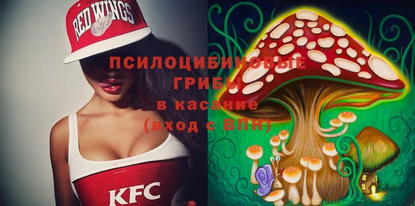 сатива Каменка