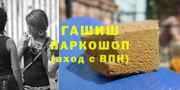 сатива Каменка