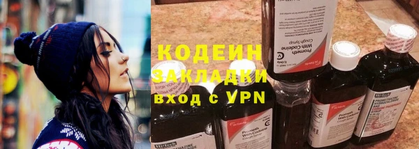 сатива Каменка