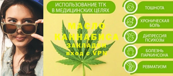сатива Каменка