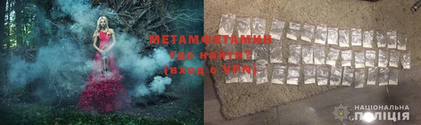 сатива Каменка