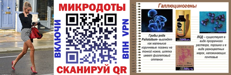 Купить где  Гагарин  Галлюциногенные грибы GOLDEN TEACHER 